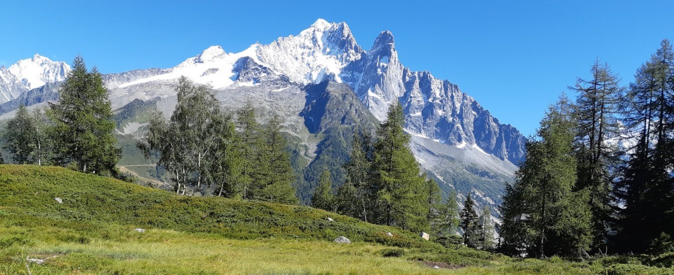 Observatoire de l’environnement et du paysage de la Compagnie du Mont-Blanc
