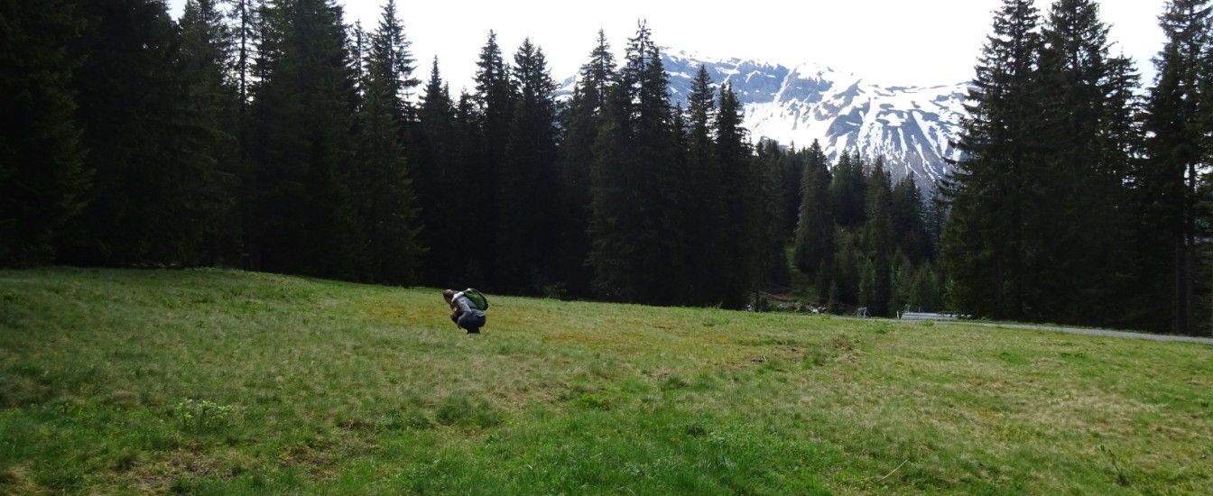Étude d’impact du projet de retenue collinaire à Avoriaz