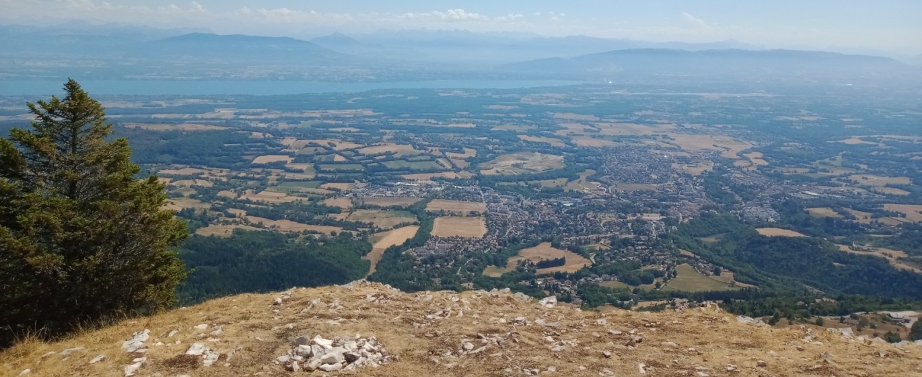 Révision générale du PLUI-H • Communauté d’Agglomération du Pays de Gex (01)